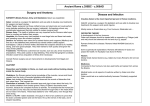 Roman revision - South Axholme Academy