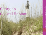 Georgia`s Costal Habitat Region