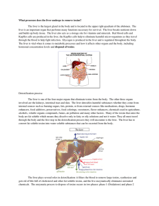 Detoxification of substances by the liver