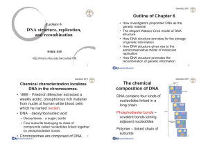 Lecture 6 DNA structure replication DNA structure, replication, and