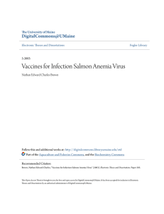 Vaccines for Infection Salmon Anemia Virus