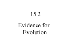 15.2 Evidence for Evolution - Mistretta