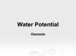 WaterPotential