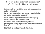 Action Potentials are - Winona State University