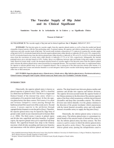 The Vascular Supply of Hip Joint and its Clinical Significant