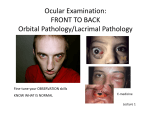 Ocular Examination: FRONT TO BACK Orbital Pathology/Lacrimal