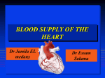 4. BLOOD SUPPLY OF HEART 12017-03-24 21
