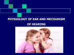 L15-Hearing
