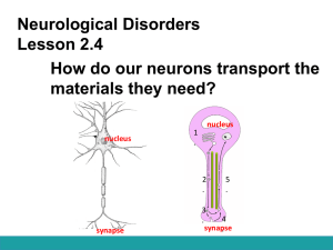 Motor Proteins