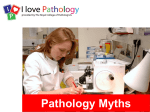 Pathology myths