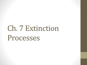 Extinction Processes