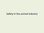Safety in the animal industry
