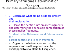 Primary Structure Determination (Sanger)