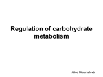 Regulation of carbohydrate metabolism