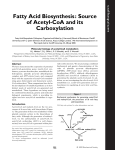 Fatty Acid Biosynthesis: Source of Acetyl-CoA and