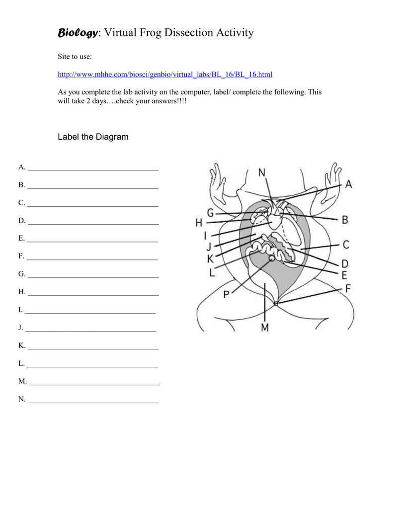 Virtual dissection Instructions In Frog Dissection Pre Lab Worksheet