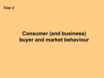 Consumer (and business) buyer and market behaviour