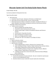 Muscular System Unit Test Study Guide