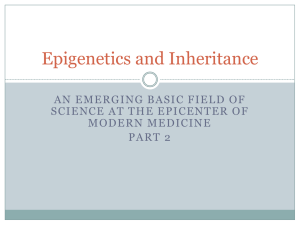 Epigenetics and Inheritance