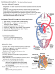 Unit 3-4 Circulatory System Notes File
