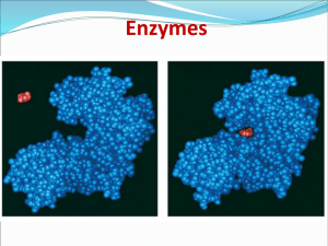 Enzyme Class