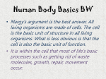 LT #4 I can describe that cells differentiate to form