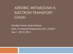 Aerobic Metabolism ii: electron transport chain