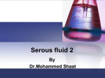 Serous fluid 2
