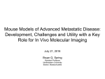Mouse Models of Advanced Metastatic Disease: Development