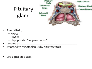 Pituitary gland