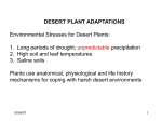 Desert Plant Adaptations