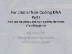 Functional Non-Coding DNA