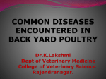 COMMON POULTRY DISEASES NCOUNTERED IN