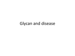 Glycan and disease