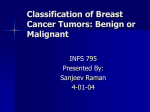 Classification of Breast Cancer Tumors: Benign or Malignant