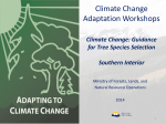 Climate Change: Guidance for Tree Species Selection