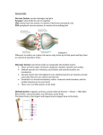 Human Body system science notes