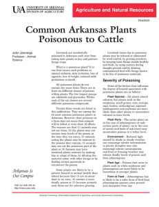 Common Arkansas Plants Poisonous to Cattle