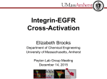 Integrin-EGFR Cross-Activation