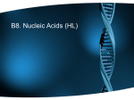 B8. Nucleic Acids (HL)