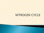 Nitrogen Cycle File