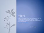 Trees - NEW
