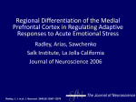 Regional Differentiation of the Medial Prefrontal Cortex in