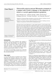 Salmonella enterica serovar Minnesota urosepsis in a patient with