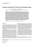 Embryonic development of the human hematopoietic system
