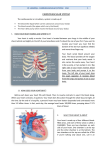 pe lessons : cardiovascular system eso