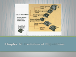 Chapter 15: Darwin*s Theory of Evolution