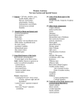 Nervous System / Special Senses Lab List
