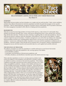 RELATIONSHIPS AMONG MULE DEER AND THEIR PREDATORS