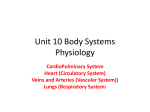 Unit 10 Body Systems Physiology - Liberty Union High School District